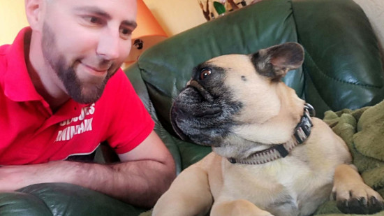 Quatre jours apr&egrave;s l'accident de Saint-Amant-Tallende, la chienne en fuite retrouve sa famille