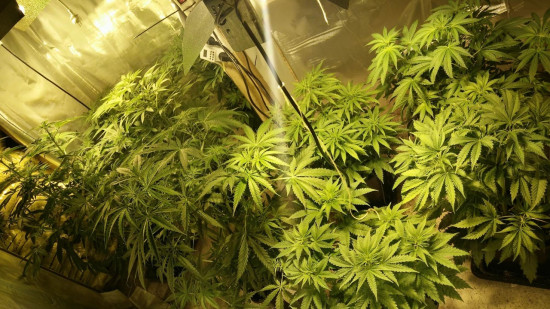 Trafic de drogue &agrave; Clermont-Ferrand : jusqu&rsquo;&agrave; dix ans de prison pour un r&eacute;seau structur&eacute;