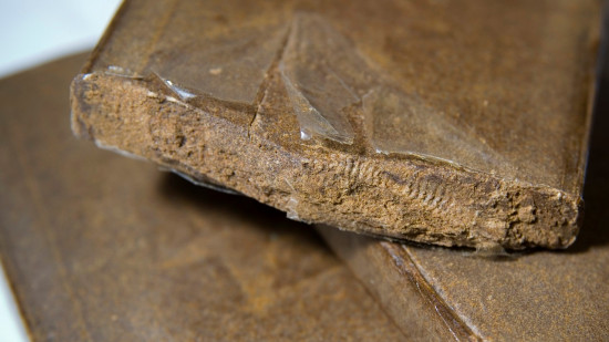 Trafic à Clermont-Ferrand : trois ados pris par la BAC avec plus de 100 grammes de drogue
