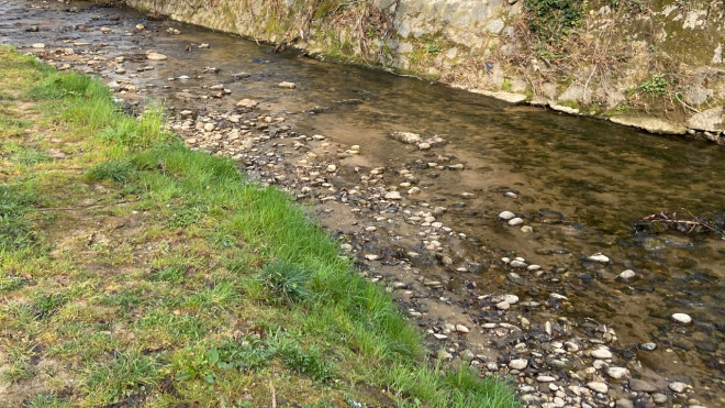 Pollution d’un ruisseau dans le Cantal : une exploitation fromagère condamnée à 10 000 euros d’amende Pollution d’un ruisseau dans le Cantal : une exploitation fromagère condamnée à 10 000 euros d’amende