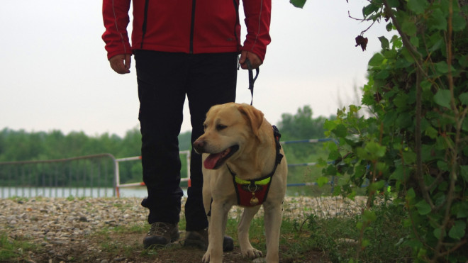 Un important dispositif déployé pour retrouver un jeune porté disparu à Clermont-Ferrand