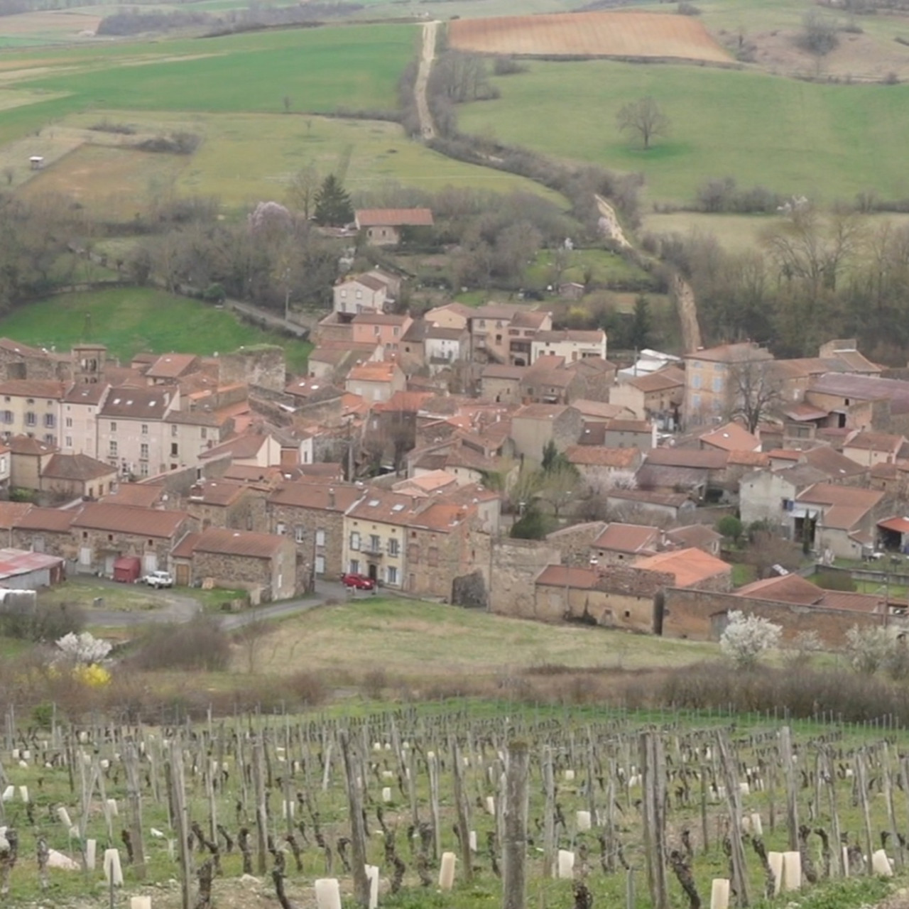 Boudes, "une pépite" en Auvergne ! Boudes, "une pépite" en Auvergne !