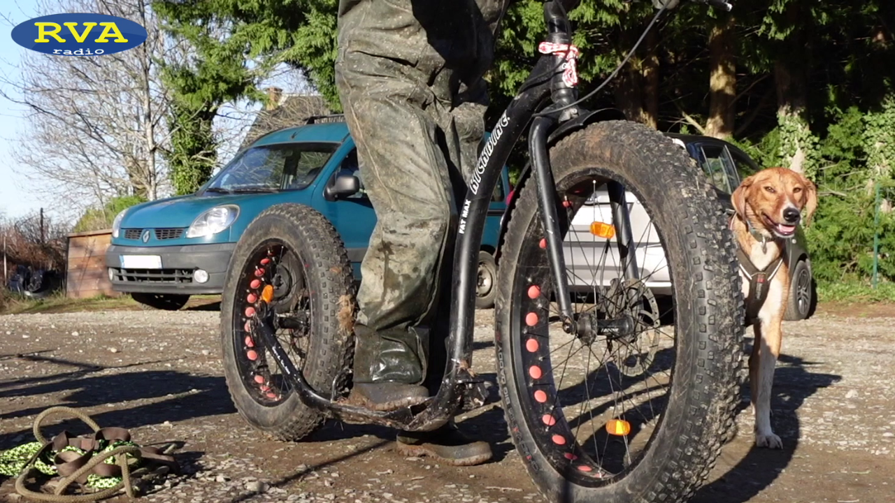 ESCAPADES EN AUVERGNE - Initiation au cani-trottinette à Bromont-Lamothe (63)