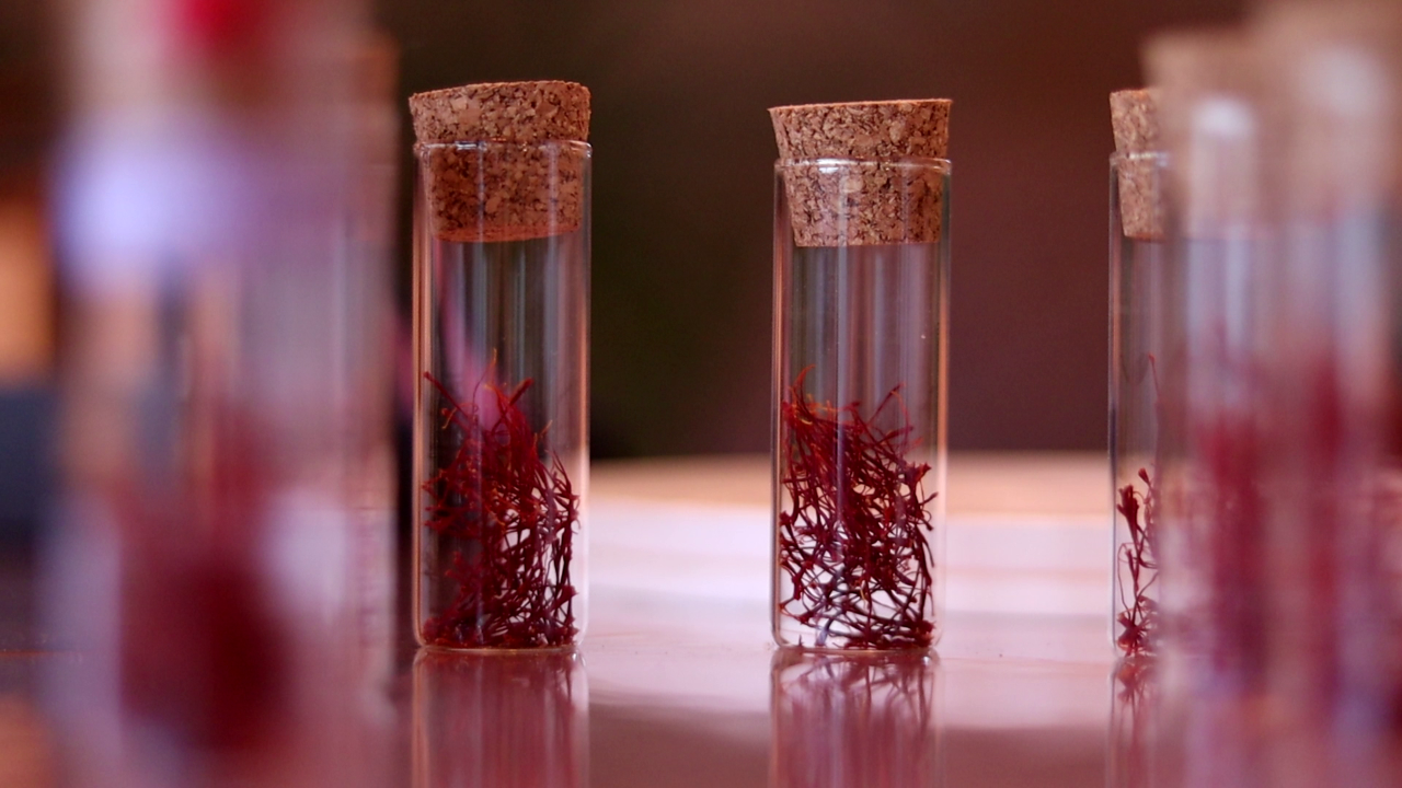 ESCAPADES EN AUVERGNE - Le Safran des Puys, une épice produit au cœur des volcans à Saint-Ours (63)