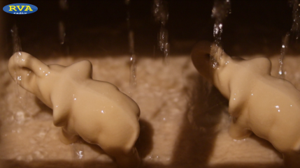 ESCAPADES EN AUVERGNE - Les Fontaines Pétrifiantes de Saint-Nectaire transforment l'eau en pierre