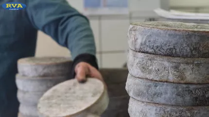 ESCAPADES EN AUVERGNE - Un affineur de Saint-Nectaire nous présente ses caves à Montaigut-le-Blanc (63)